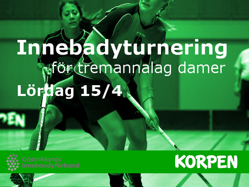 Innebandyturnering Damer